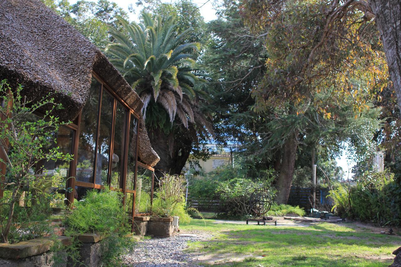 Santoral Restaurante Y Posada Pet Friendly Атлантида Экстерьер фото